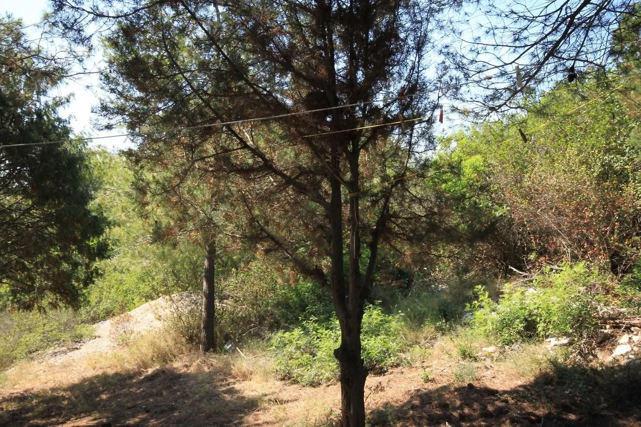 Secluded Fisherman'S Cottage Cove Ripisce, Dugi Otok - 394 Brbinj Holiday home